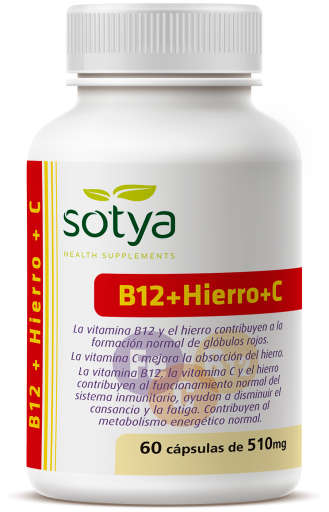 B12 + Fer + C 60 gélules 510 mg