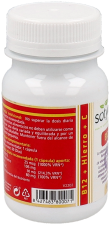 B12 + Fer + C 60 gélules 510 mg