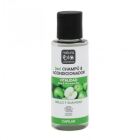 Shampoing et Apr&egrave;s-shampooing Vitalit&eacute; 100 ml