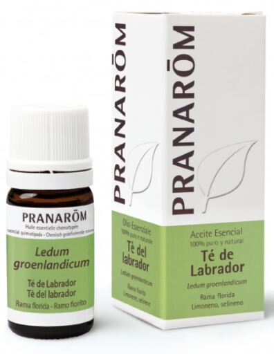 Huile Essentielle de Th&eacute; du Labrador 5 ml