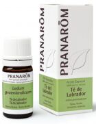 Huile Essentielle de Th&eacute; du Labrador 5 ml