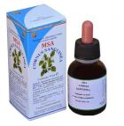 Msa Cornus Sanguinea Bourgeons 50 ml