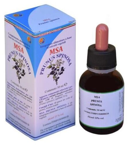 Msa Prunus Spinosa Bourgeons 50 ml