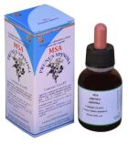 Msa Prunus Spinosa Bourgeons 50 ml