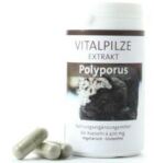 Polypore 60 Gélules Polypore 60 Gélules