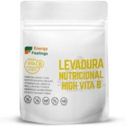 Energy Feelings Vita B12 Flocons de Levure Nutritionnelle 130 gr