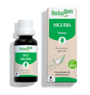 Figue 30 ml Bio