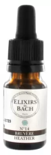 Bruy&egrave;re 10 ml