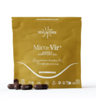 Mico-Vir+Vit C 60 gélules