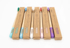 Brosse en bambou