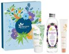 Ensemble rituel de beauté pour le visage en 3 pièces Ensemble rituel de beauté pour le visage en 3 pièces