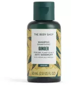 Shampoing au gingembre 60 ml