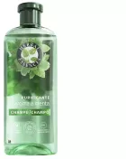 Shampoing purifiant &agrave; la menthe 350 ml