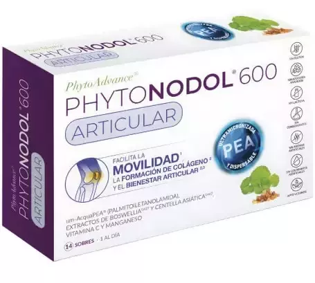 Phytonodol 600 Articulaire 14 Enveloppes
